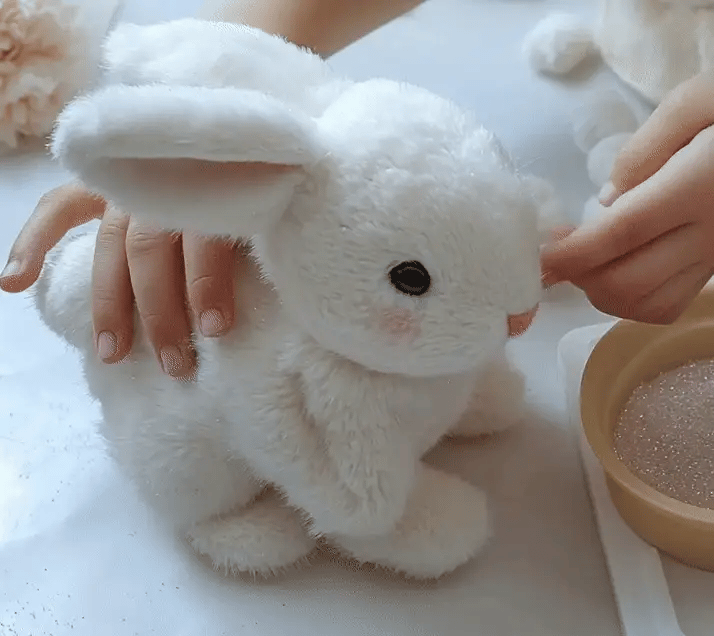 Walking™ Rabbit Toy