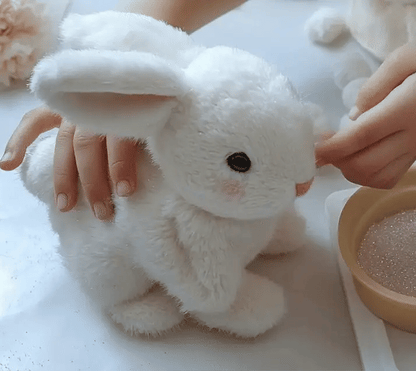 Walking™ Rabbit Toy