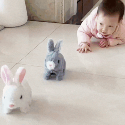 Walking™ Rabbit Toy