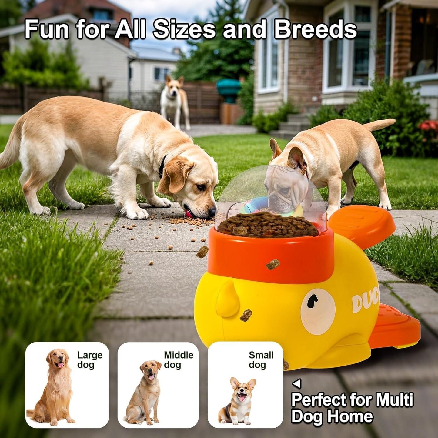 2-in-1 Interactive Pet Feeder Toy for Dogs & Cats 🐶🐱